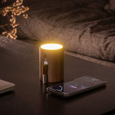 Drum Light Bluetooth Speaker Adeum