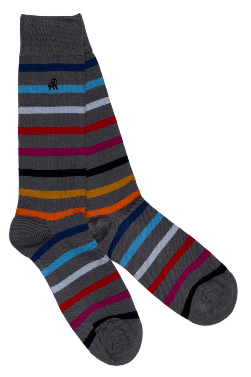 Narrow Stripe Sock Bundle - Four Pairs Adeum