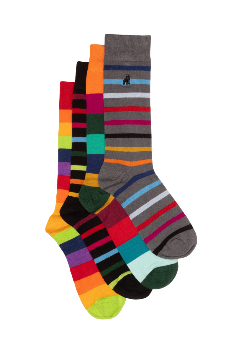 Narrow Stripe Sock Bundle - Four Pairs Adeum