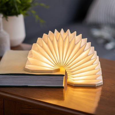 Smart Accordion Light Adeum